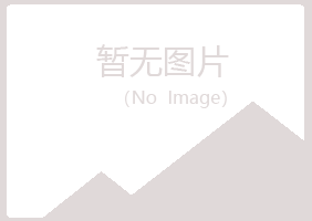 南澳县晓夏金属有限公司